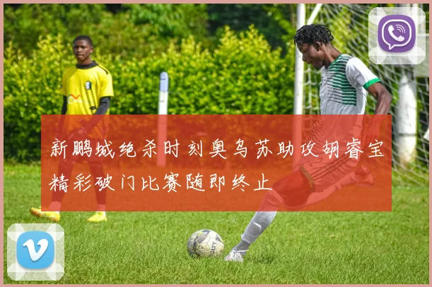 新鹏城绝杀时刻奥乌苏助攻胡睿宝精彩破门比赛随即终止