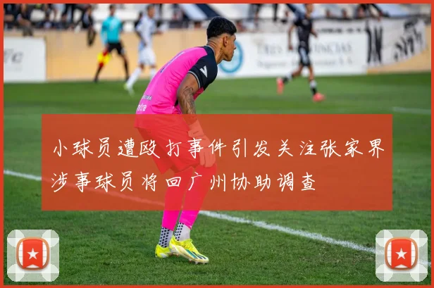 小球员遭殴打事件引发关注张家界涉事球员将回广州协助调查