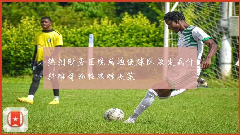热刺财务困境或迫使球队放走武什科维奇面临艰难决策